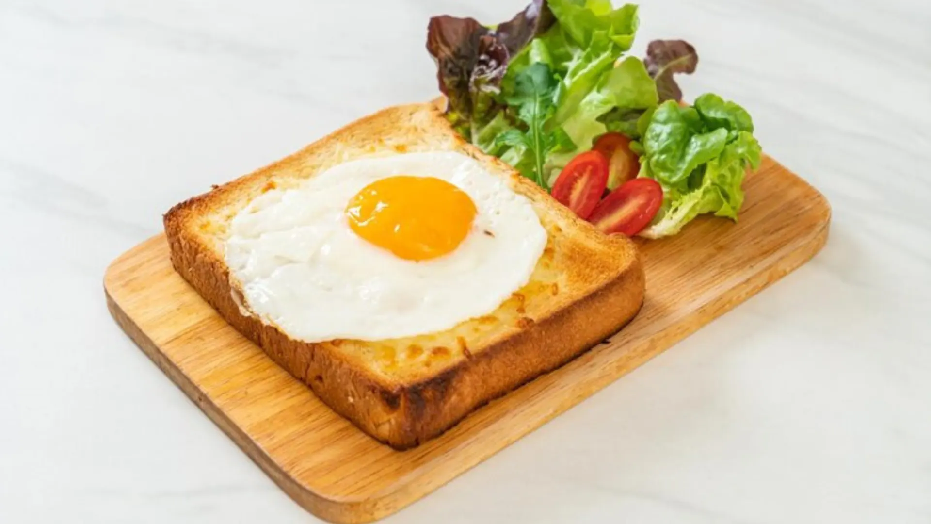 EggToasty EggToasty