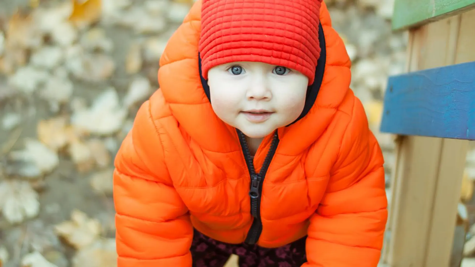 Puffer-Jackets Puffer-Jackets