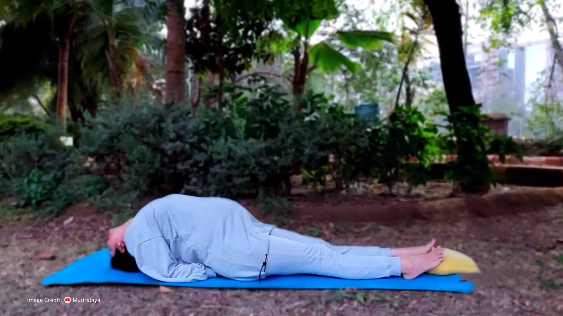 Matsyasana